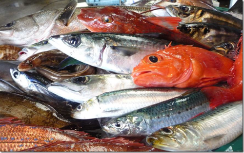 D03305 石巻港直送 逸品鮮魚 石巻市 ふるさと納税