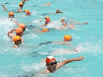 20301200_鹿妻小学校:水泳学習2の画像