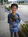 20301200_鹿妻小学校:かぼちゃの収穫1の画像