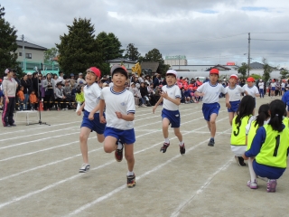 20301300_蛇田小学校:DSCN8025.jpgの画像