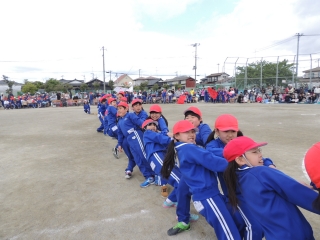 20301300_蛇田小学校:DSCN8118.jpgの画像