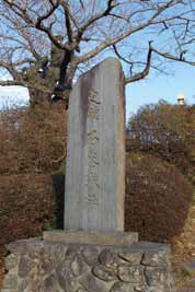 石巻城址と書かれた石碑