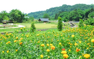 河北・紅花資料館の画像