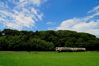 ひたちなか海浜鉄道湊線の画像