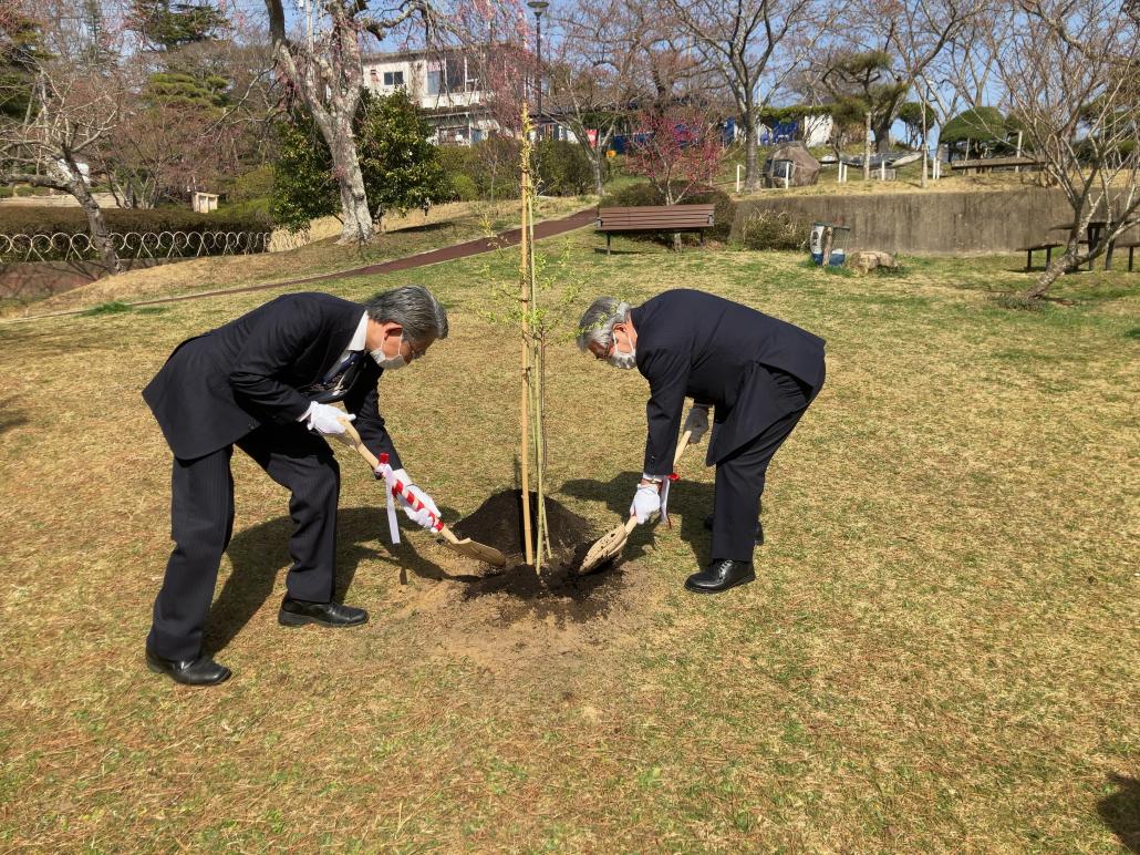 日和山公園にて植樹の様子2