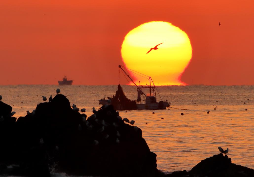 太平洋写真学校賞「海　朝景」