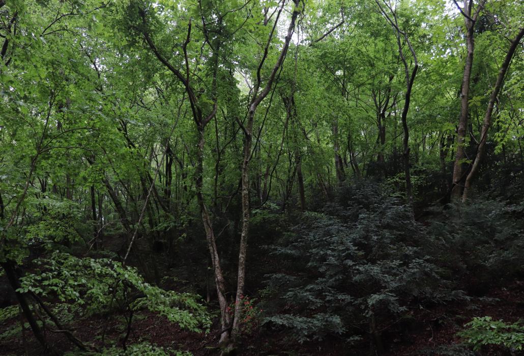 07_太平洋写真学校賞R7