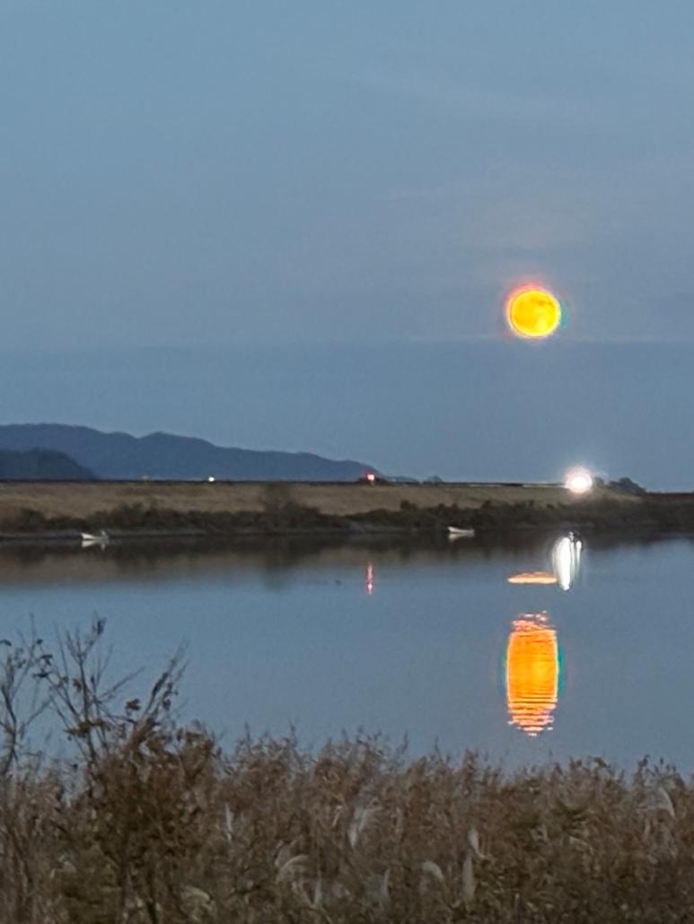 14_準グランプリR7