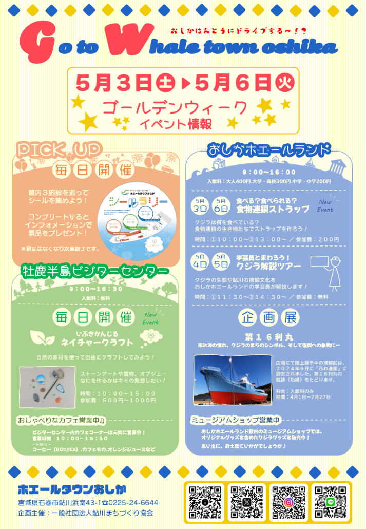 Go to Whale town oshikaの画像