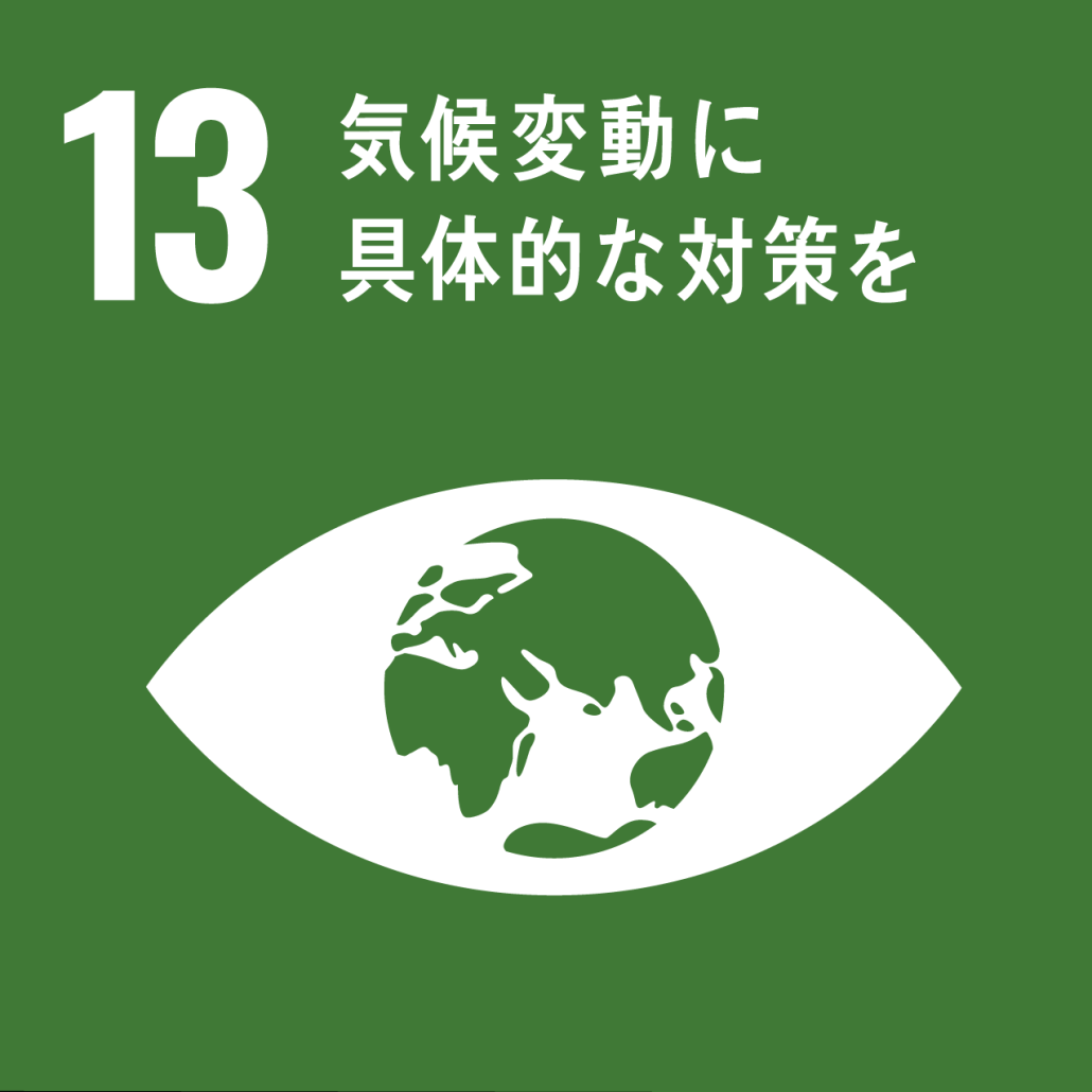 sdg_icon_13_color.png