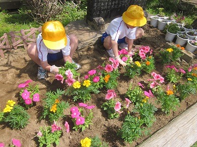 大原小学校の活動