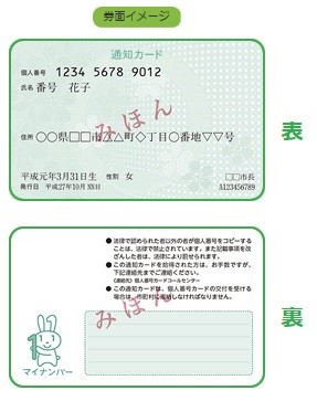 通知カード(見本)