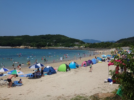 網地白浜(2016)