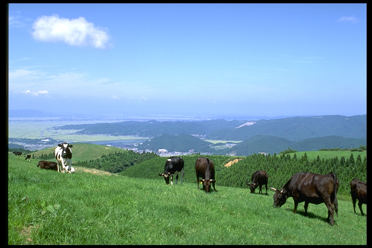 上品山