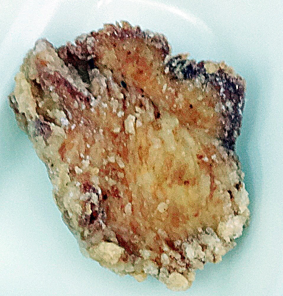 R8.10鶏肉の塩から揚げ