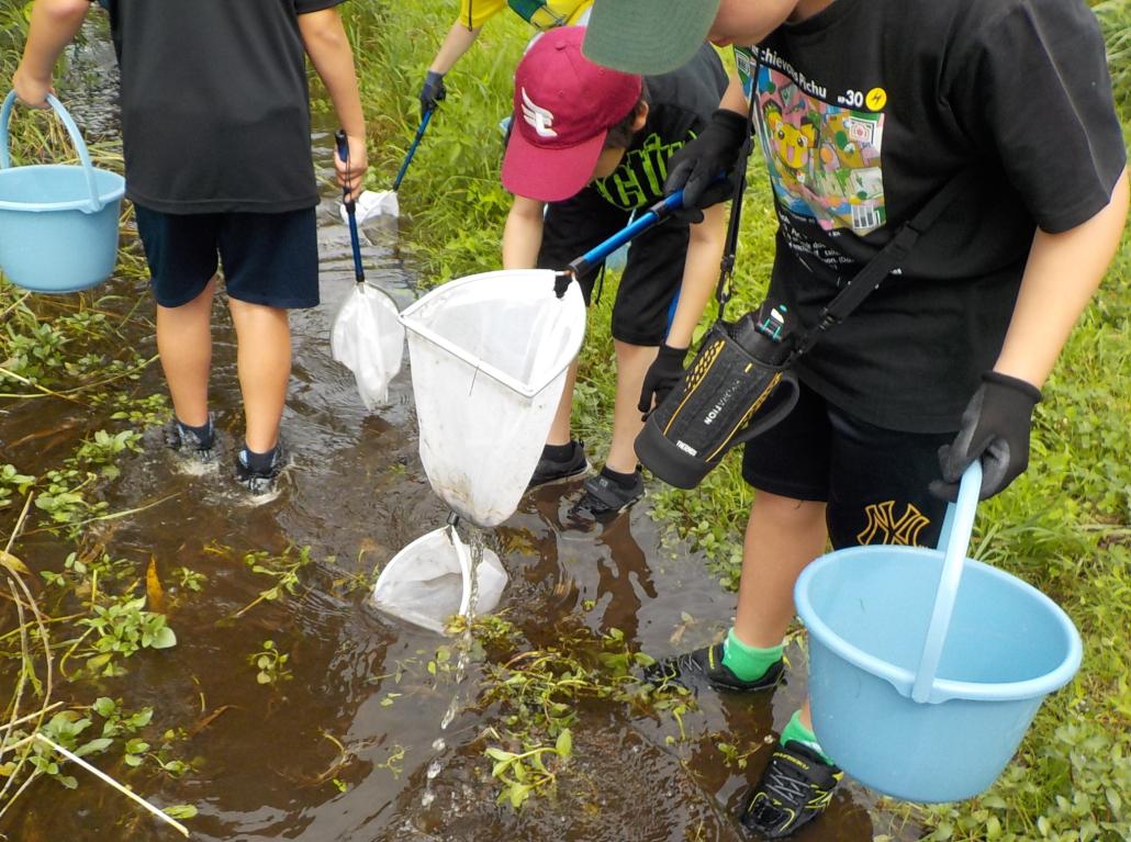 石巻・川のビジターセンター　月浜沢川の生き物観察のようすの画像