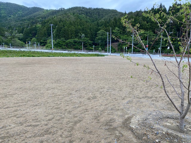 運動広場