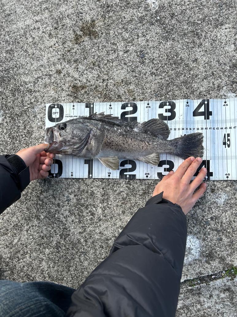 生コンさん作品そい