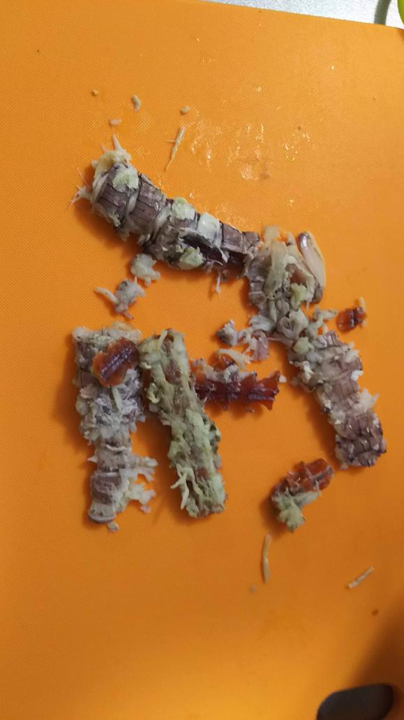 シャコ？なの？？