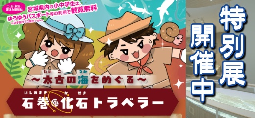 化石トラベラーの画像
