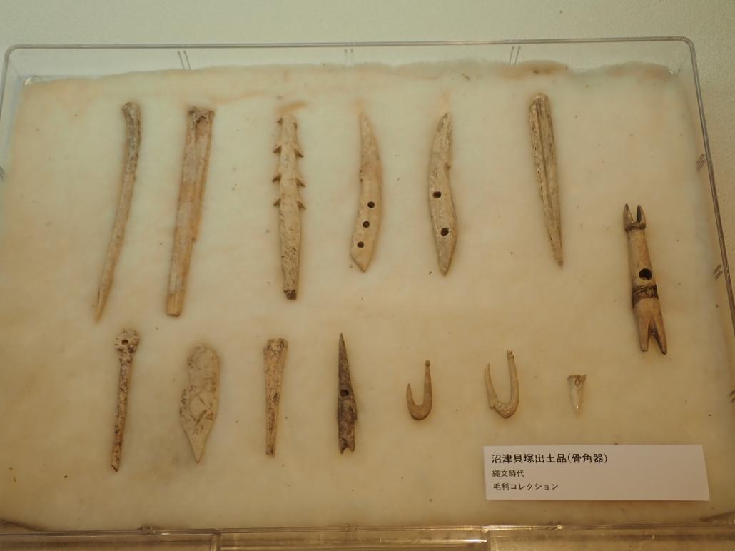 沼津貝塚出土骨角器