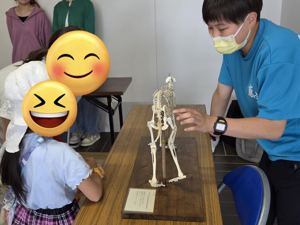 ホネからみる石巻の動物