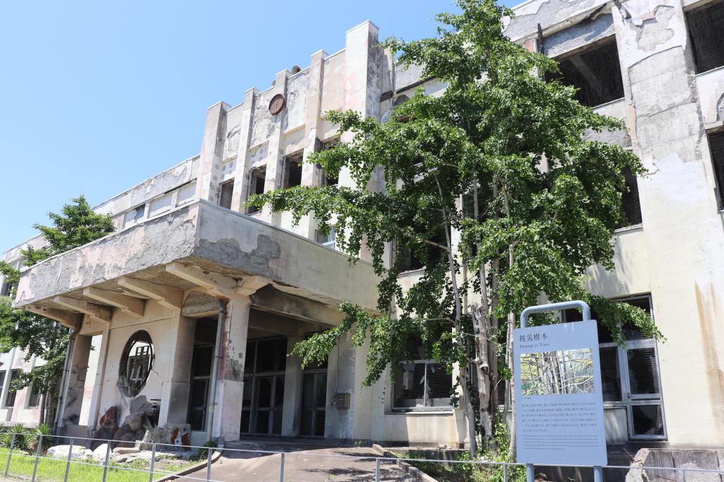 被災樹木解説パネルの写真