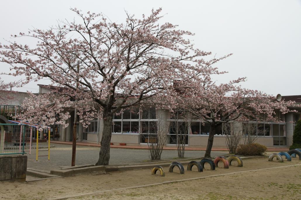 Spring Classrooms