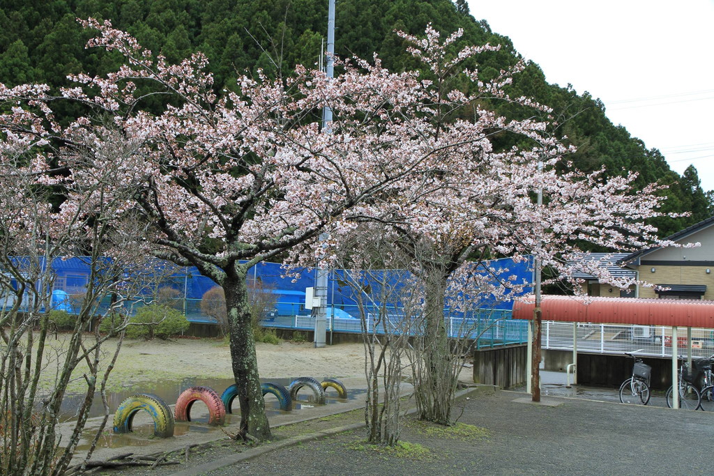 View from the Schoolyard