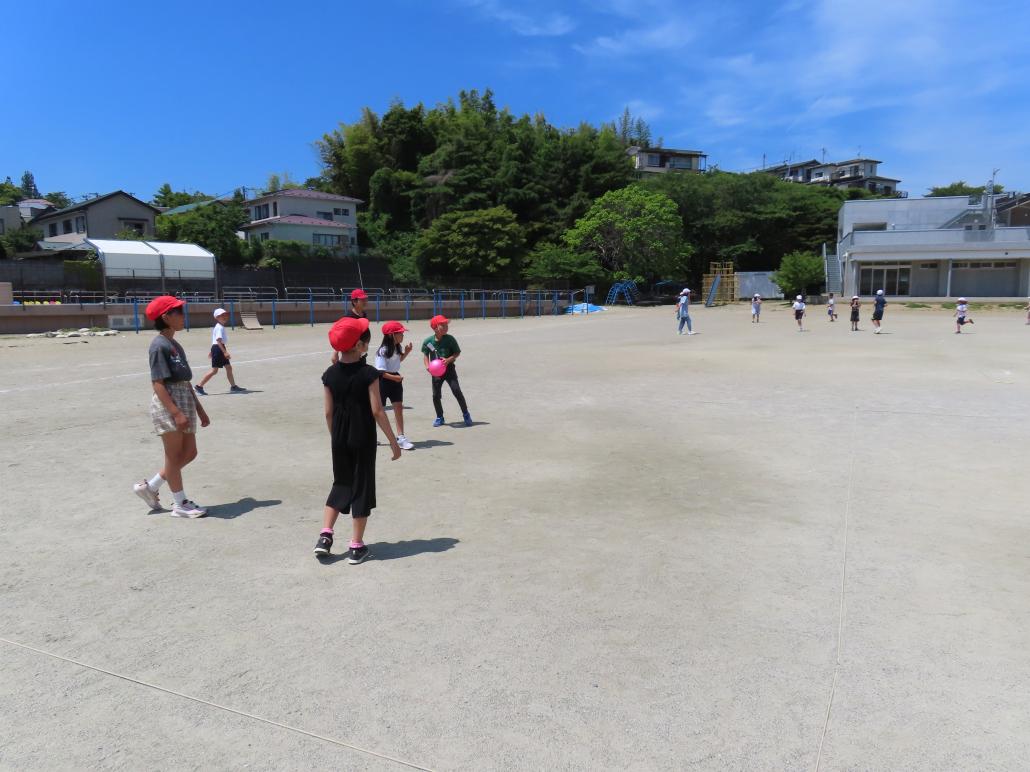 の画像