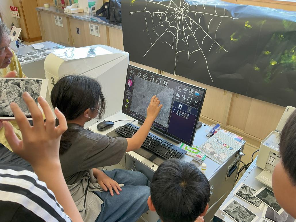 の画像