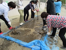 の画像