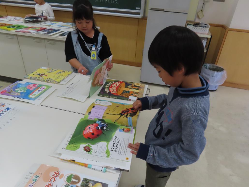 の画像
