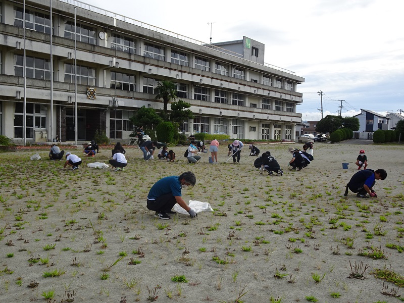 の画像