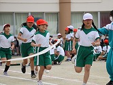 の画像