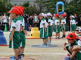 の画像