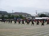 の画像