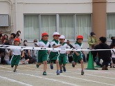 の画像
