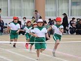 の画像