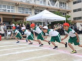 の画像