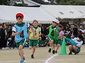 の画像
