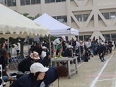 の画像