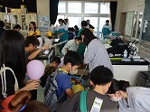 の画像