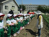 の画像
