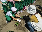 の画像