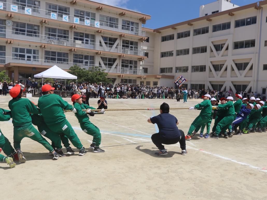 の画像