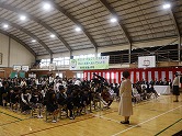 の画像