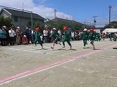 の画像