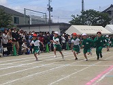 の画像