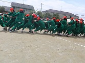 の画像